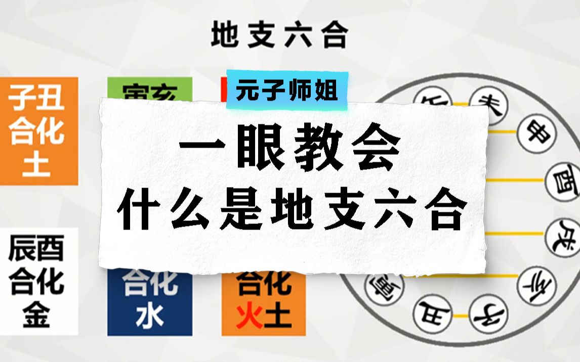 一眼教会什么是地支六合,八字超干货哔哩哔哩bilibili