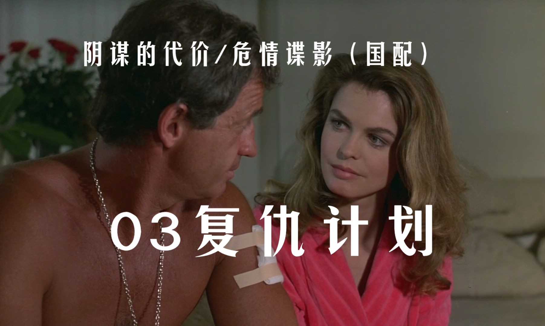 残忍的复仇计划电影