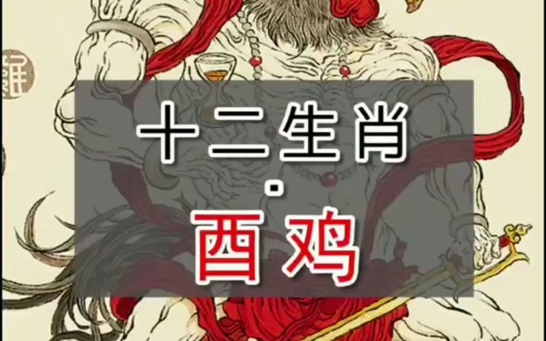 十二生肖之酉鸡哔哩哔哩bilibili