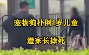 Descargar video: 宠物狗扑倒1岁儿童遭家长摔死，狗主人：我孩子死了