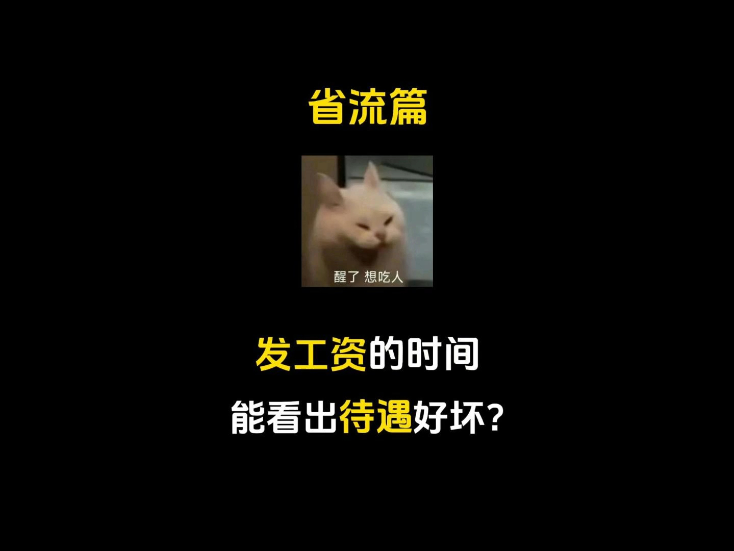 悲伤向日葵的故事、哔哩哔哩bilibili