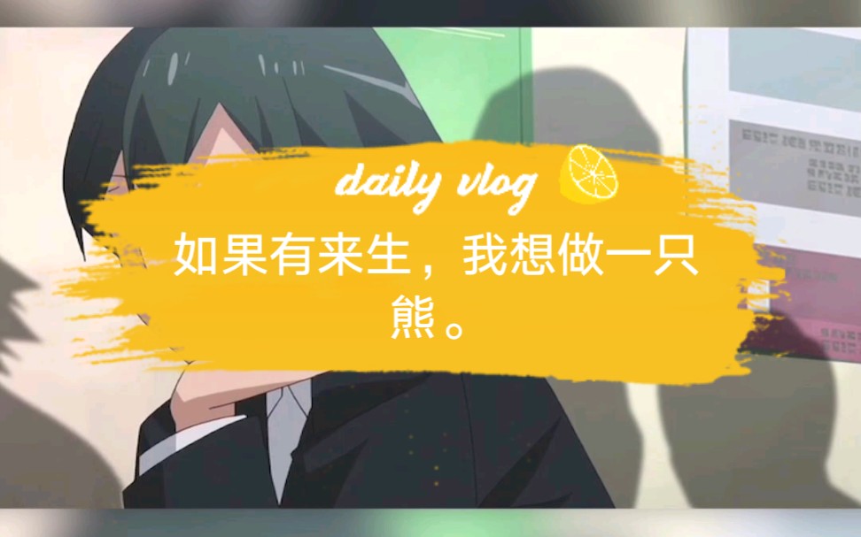 大老师的经典语录之如果有来生我想要作一只熊