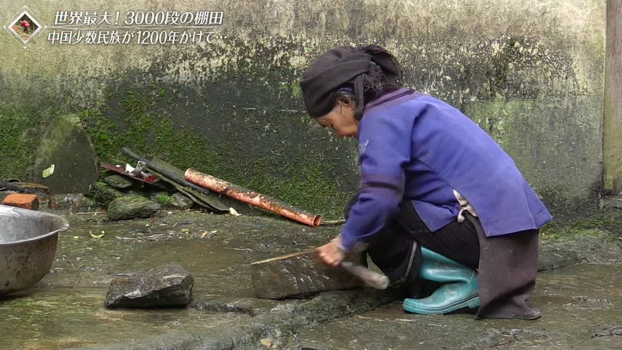 [图][世界遗产] 2019-02-17 红河哈尼梯田的文化景观