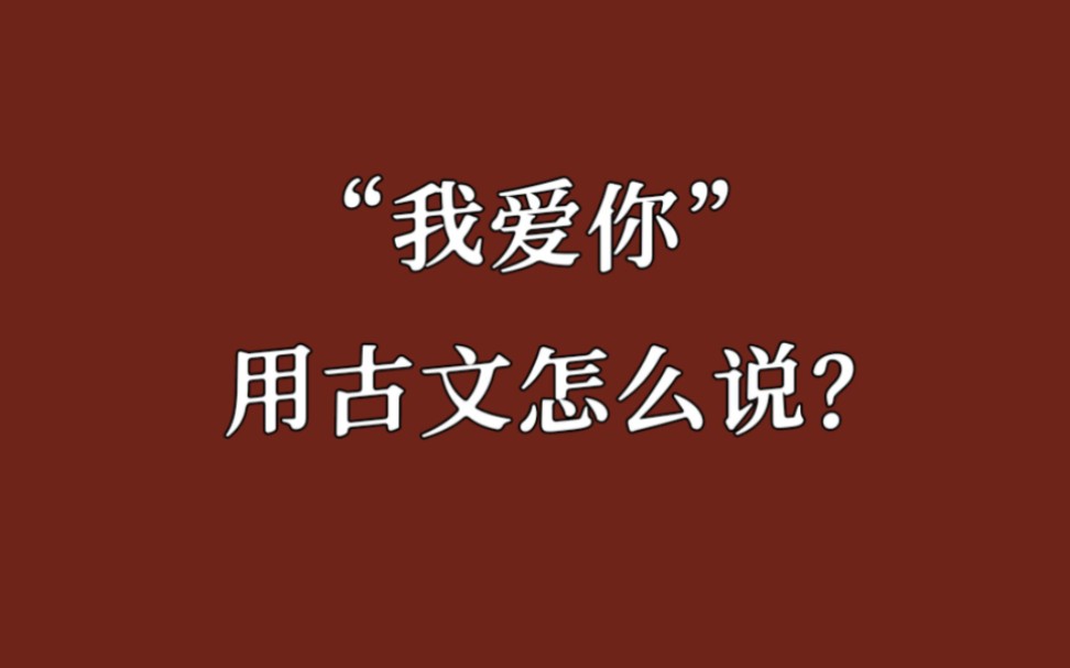 “既见君子,云胡不喜”|我爱你用古文怎么说?哔哩哔哩bilibili