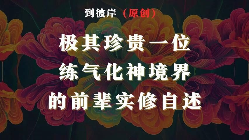 极其珍贵一位练气化神境界的前辈实修自述!哔哩哔哩bilibili