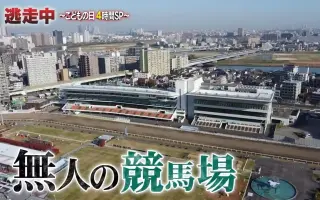 逃走中 搜索结果 哔哩哔哩 Bilibili