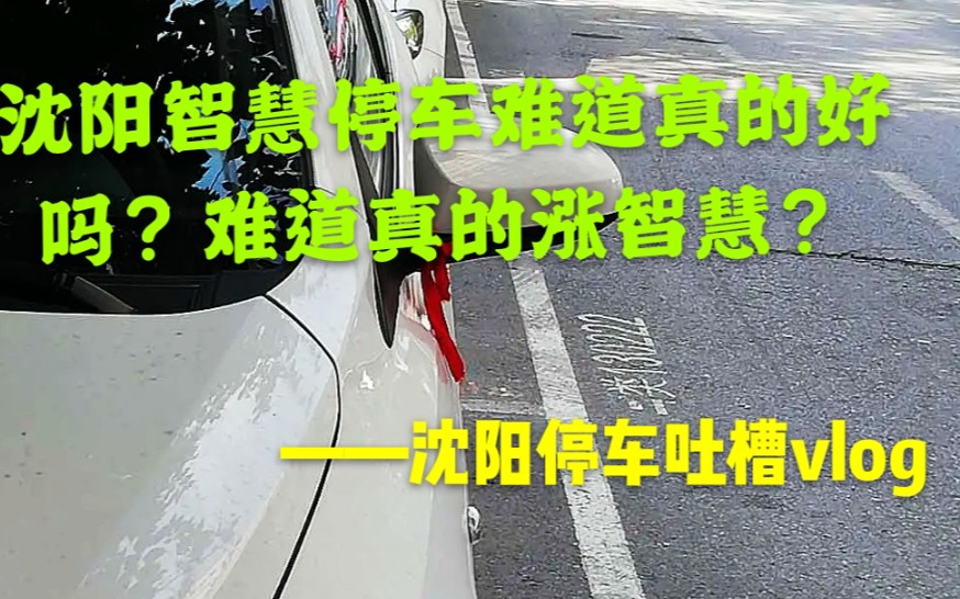 沈阳智慧停车施行以后,难道在沈阳停车真的涨智慧吗?哔哩哔哩bilibili