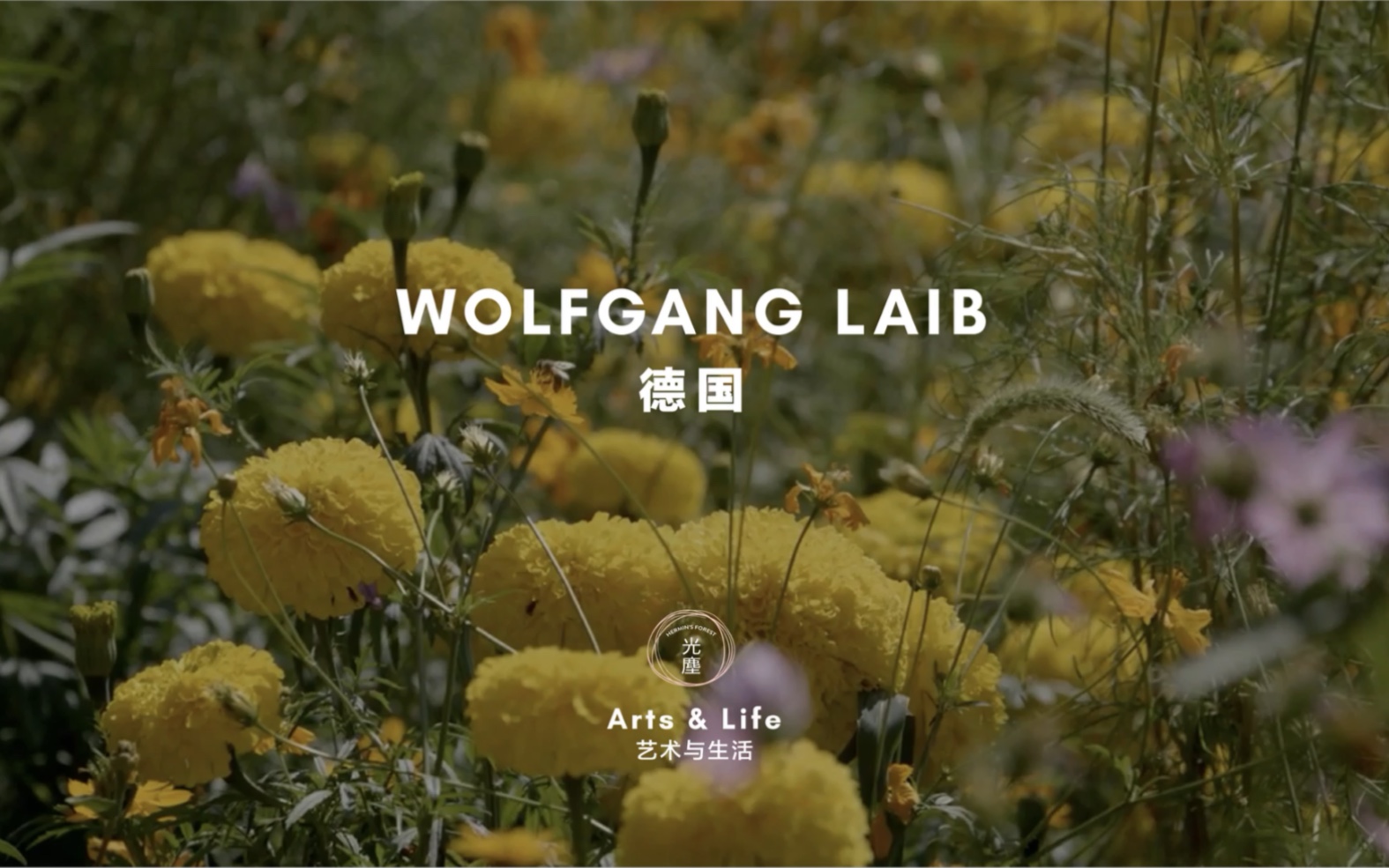 [图]/人与自然/ 德国艺术家Wolfgang Laib 用30年时间收集各类花粉来创作