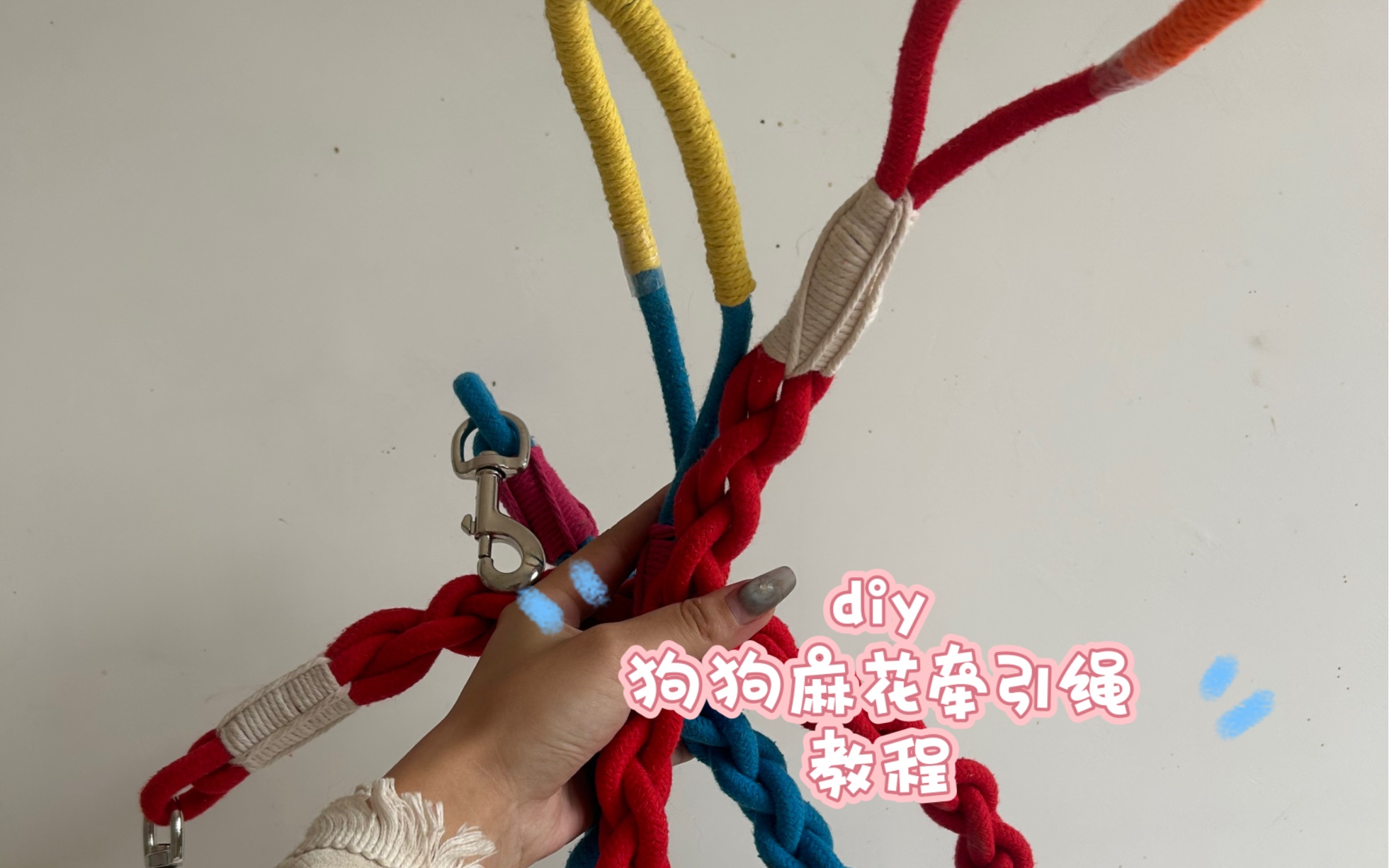 超简单diy自制狗狗麻花牵引绳教程来啦哔哩哔哩bilibili