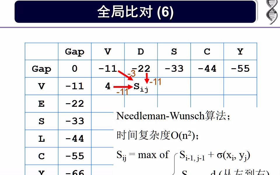 《生物信息学》薛宇华中科技大学第四章 双序列比对第13节课哔哩哔哩bilibili