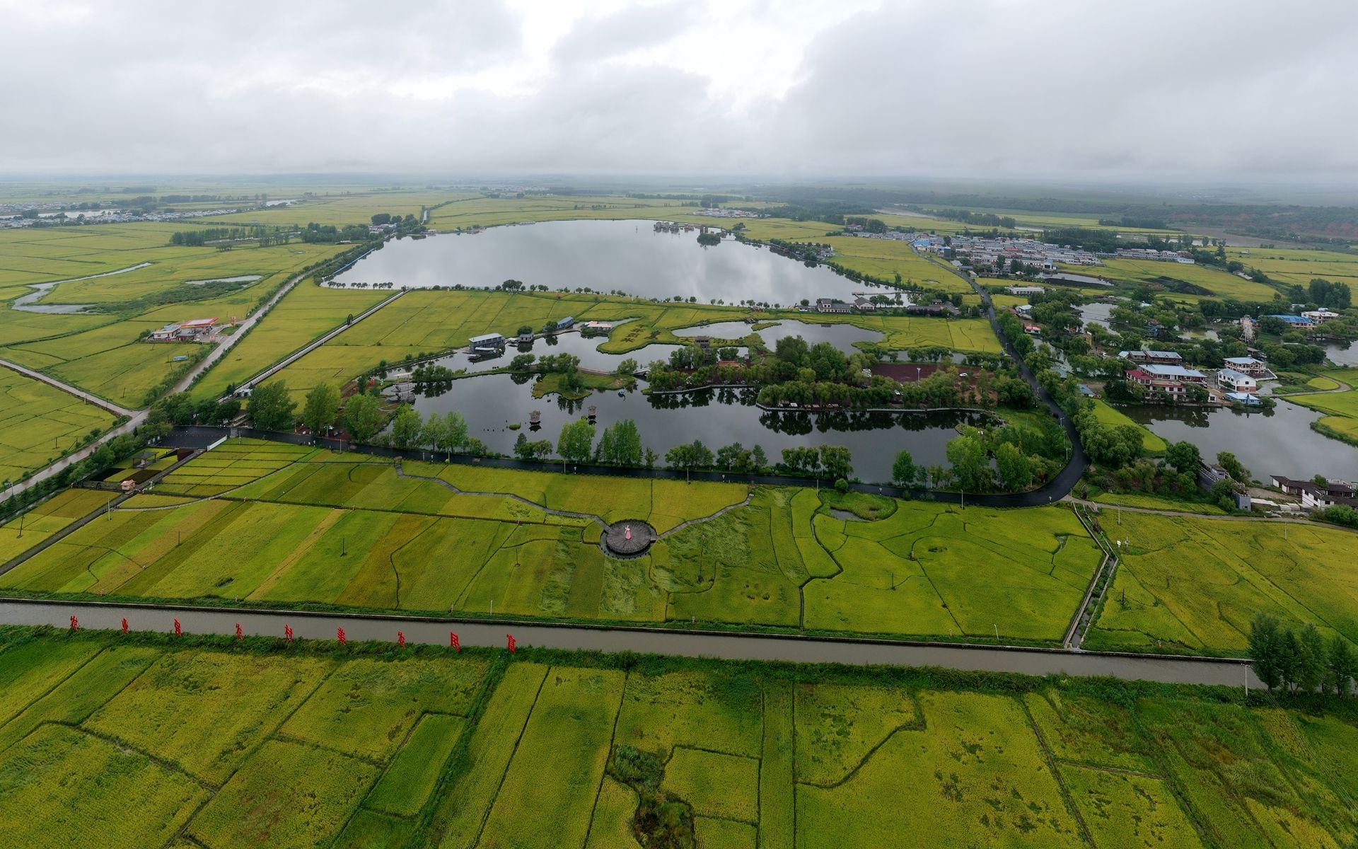 宁安火山岩石板水稻田