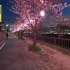 【4K】（高清）街拍日本风景