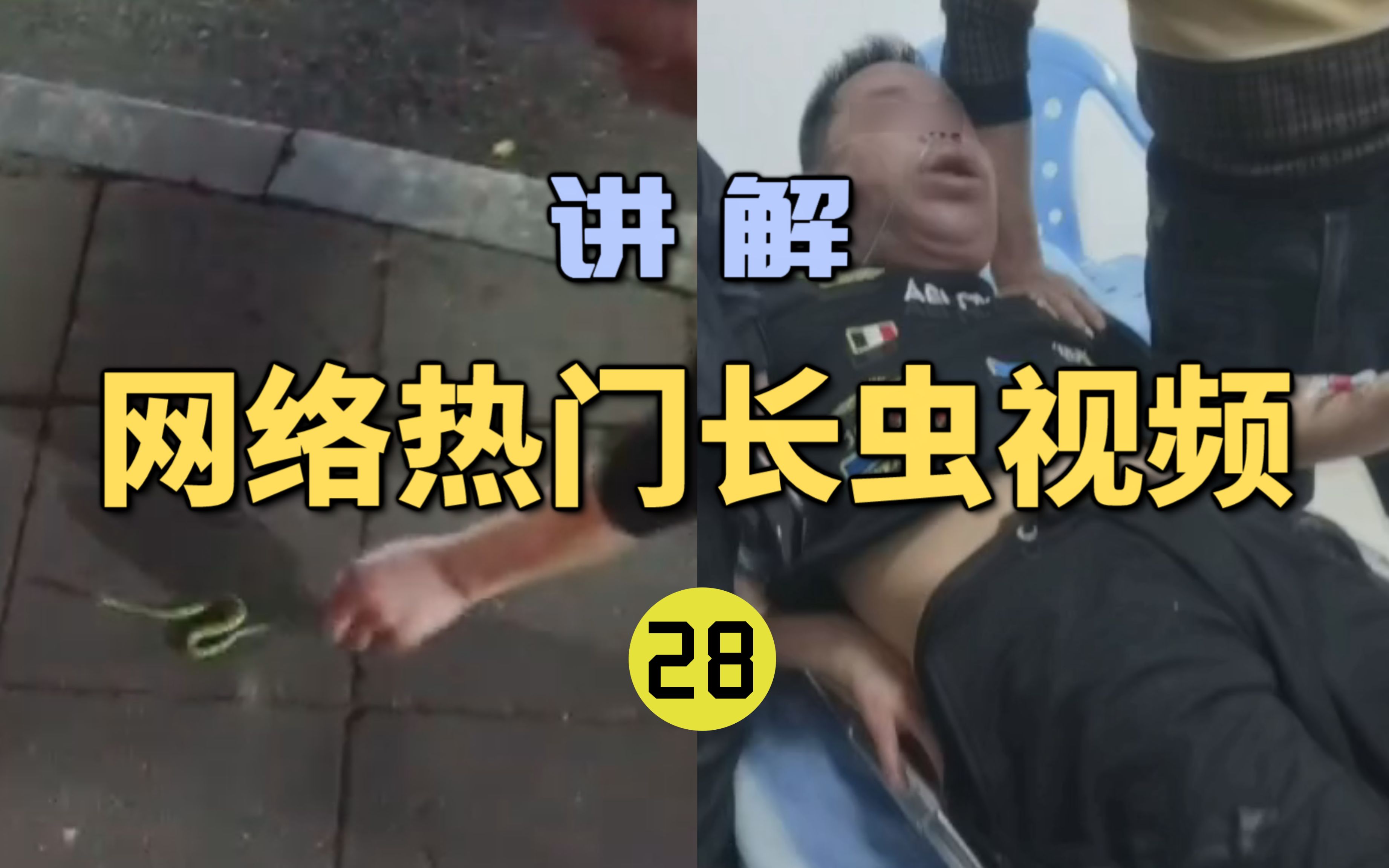 [图]网络热门长虫视频(28)男子不听劝玩弄亲吻竹叶青？下一秒付出惨痛代价！