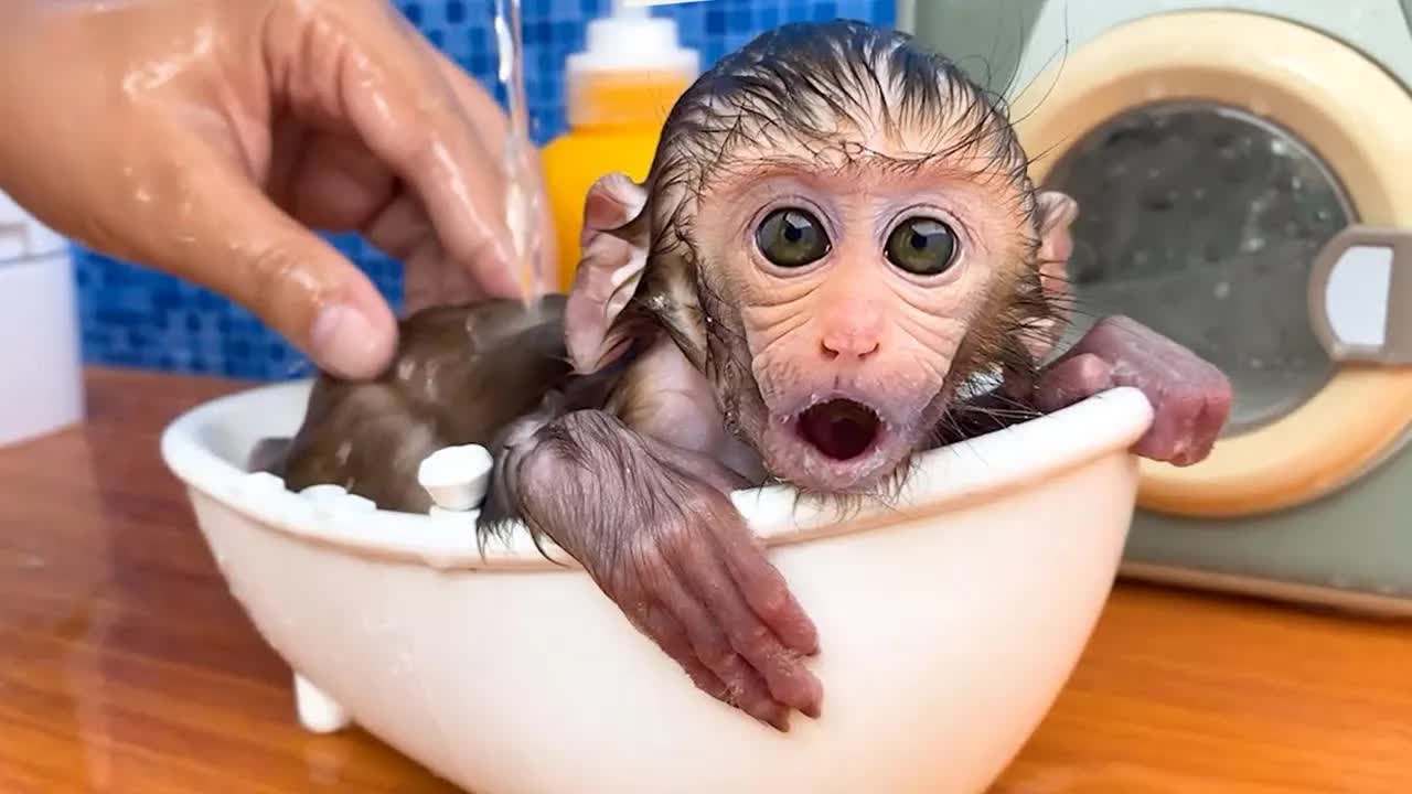 [图]猴宝宝洗澡打肥皂，好有趣