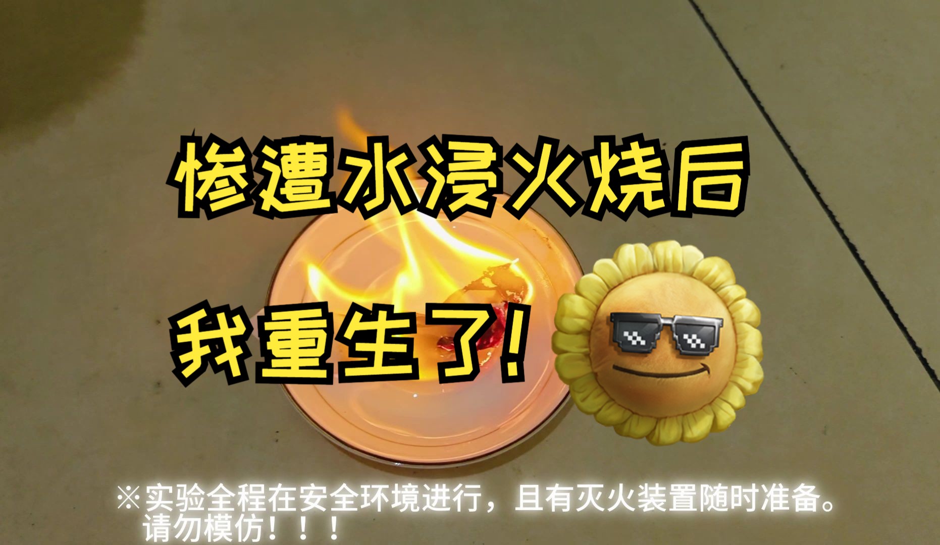 【做实验】棉柔巾惨遭水浸火烧后重生了!