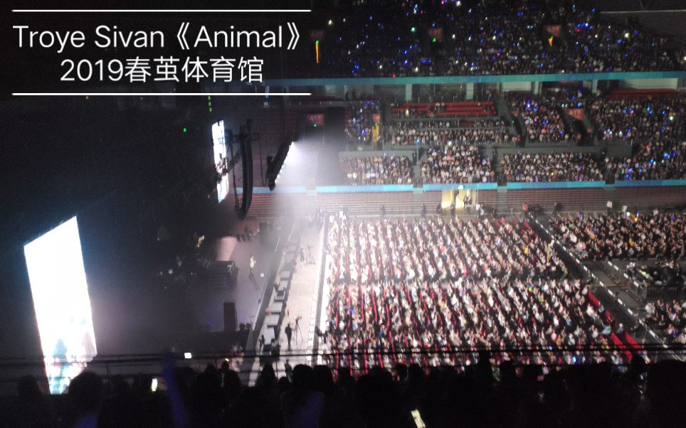 Troye Sivan《Animal》Bloom世界巡演2019.深圳春茧体育馆.哔哩哔哩bilibili