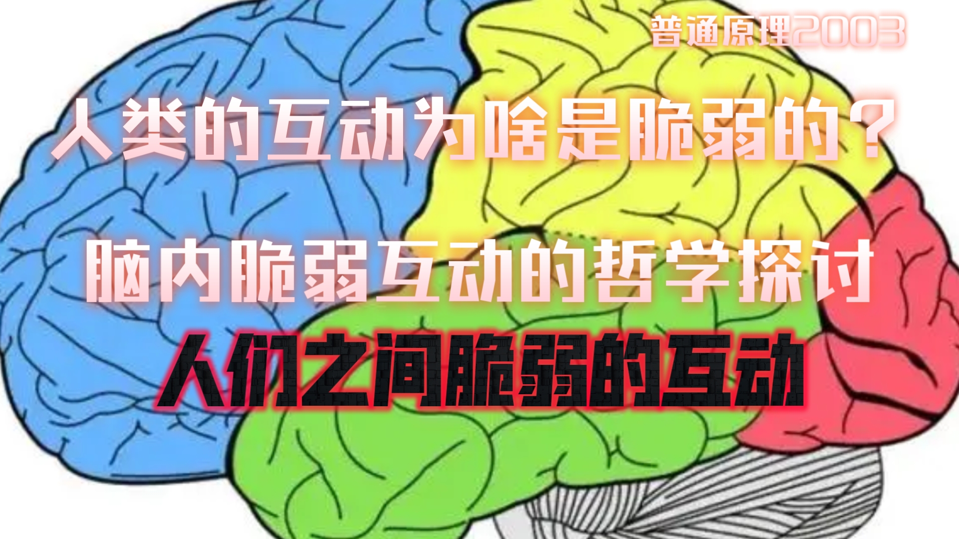 【脑科学心理学】:脑额叶和情感中心与脆弱人际互动.哔哩哔哩bilibili