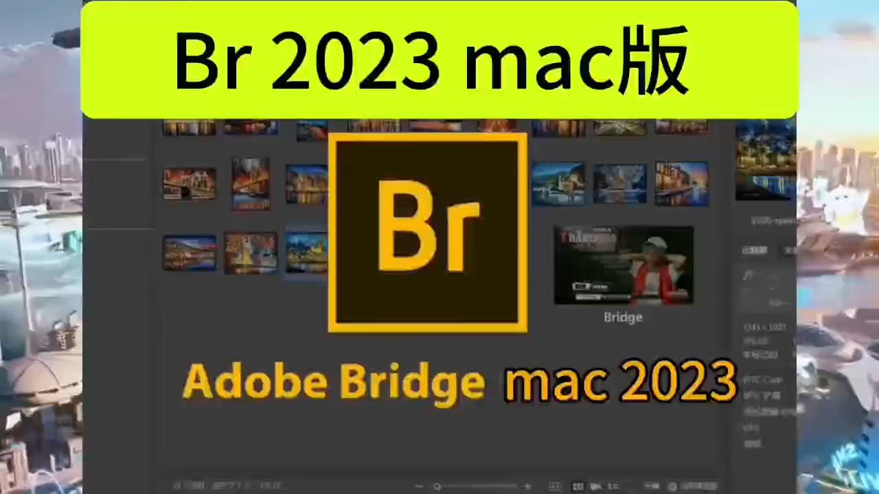 最新下载:Bridge(Br2023)mac版【软件附加安装步骤】哔哩哔哩bilibili