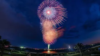Summer Roses Of Keisei Rose Garden 21 In A Sudden Shower 京成バラ園 4k 哔哩哔哩 Bilibili