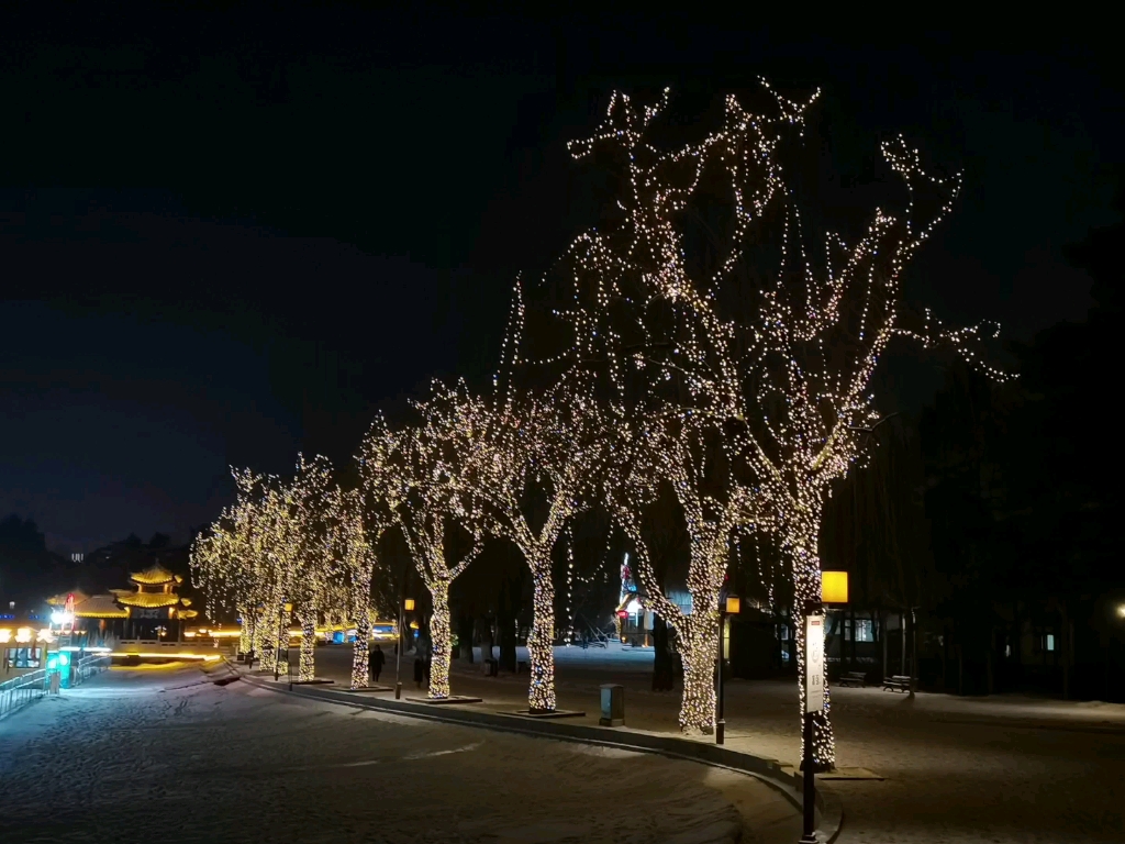 长春夜景 南湖公园
