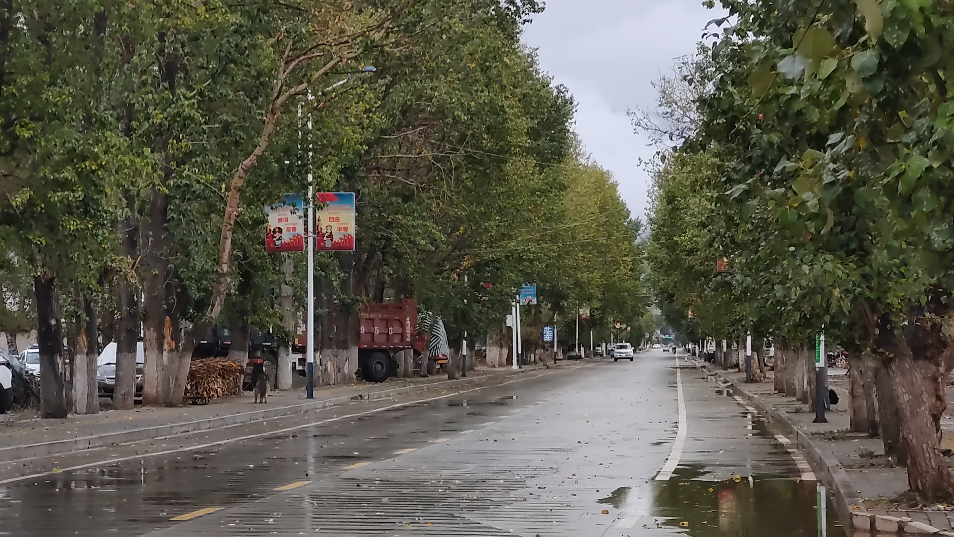 [图]又是下雨天[拉萨]