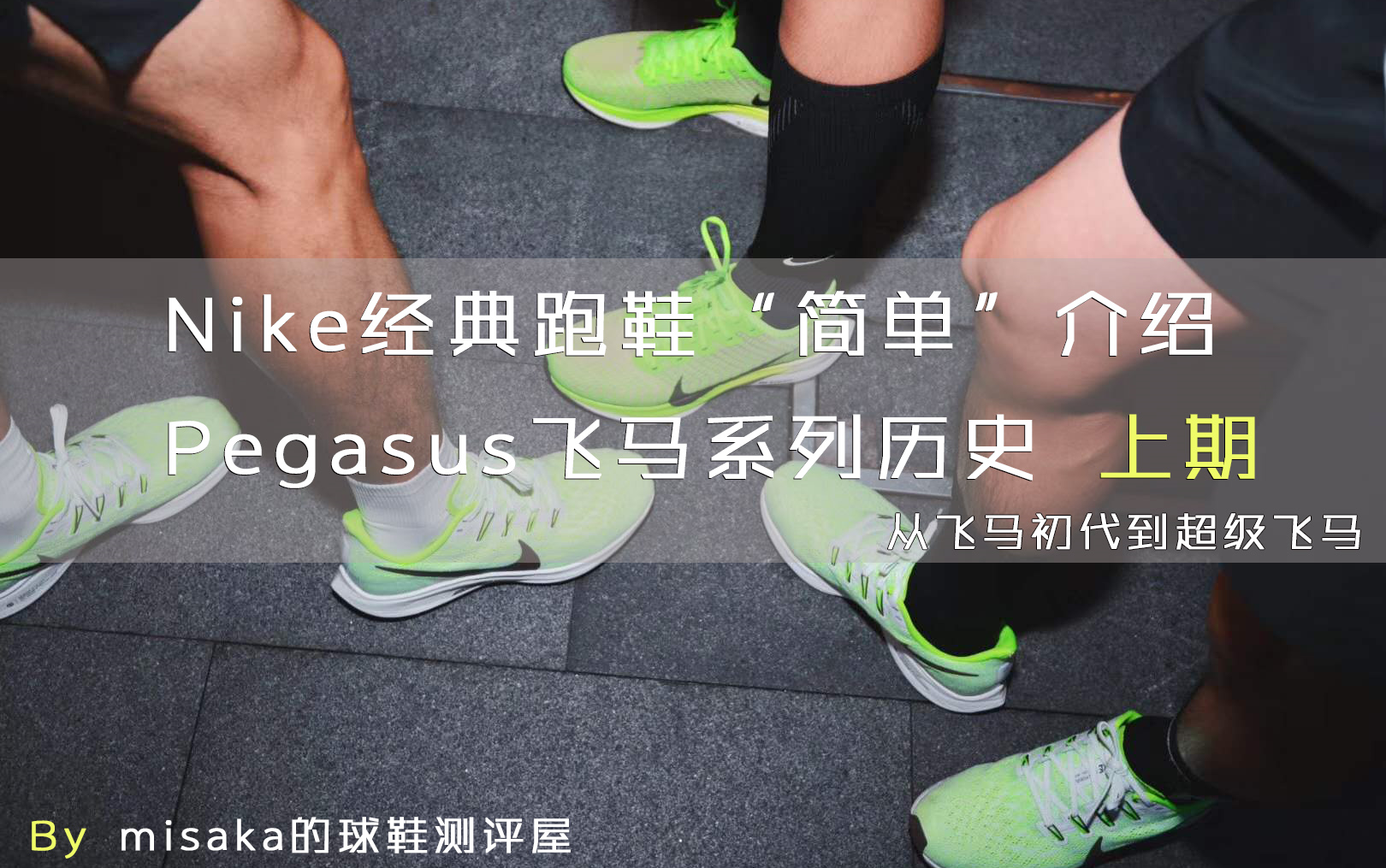 【御坂澪】misaka的球鞋测评屋第二期nike经典跑鞋“简单”介绍Pegasus飞马系列历史上期,Pegasus初代到超级飞马(还有简洁的韩语版介绍36)哔哩...