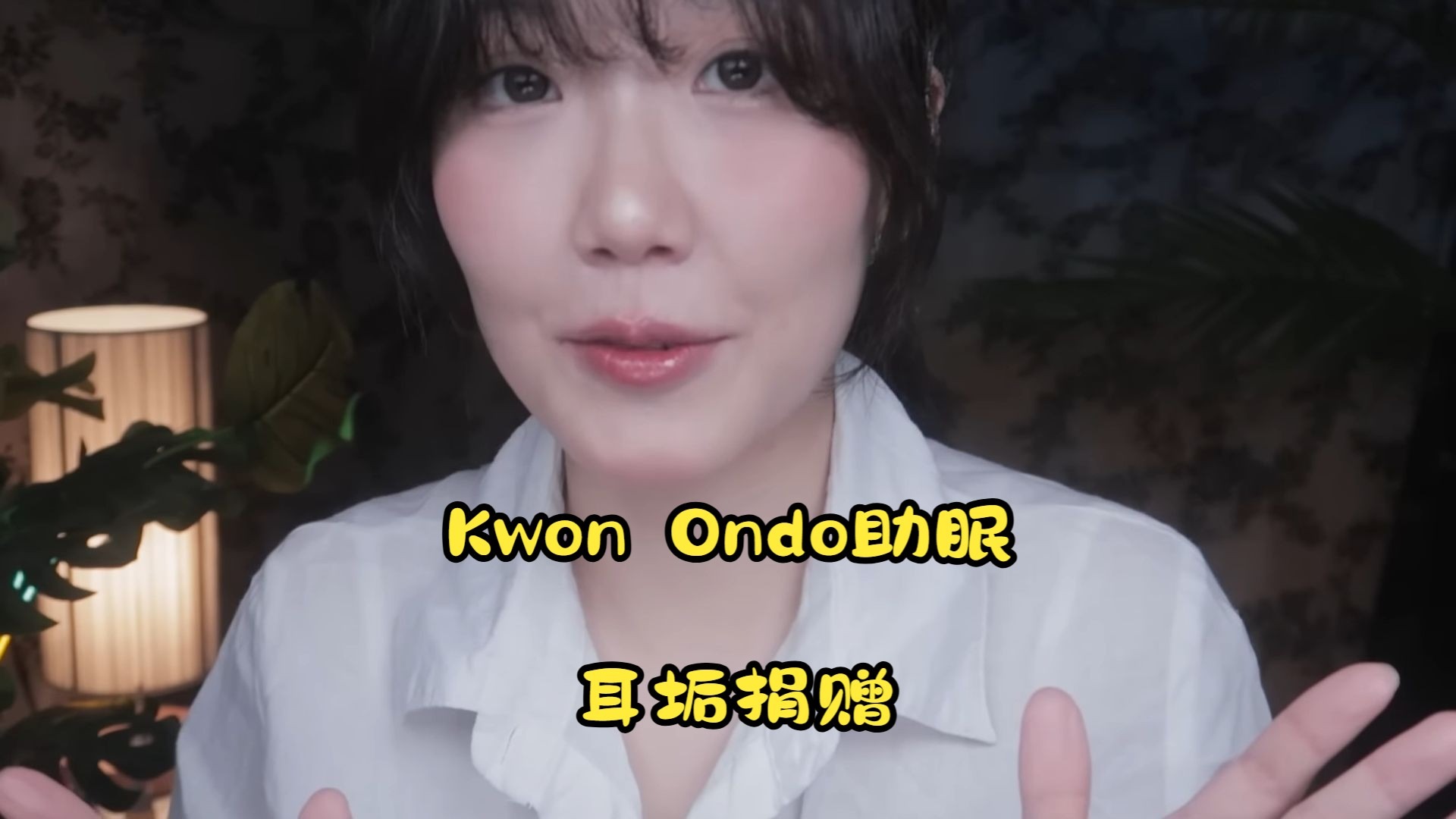[中文字幕]Kwon Ondo助眠 耳垢捐赠-小呆说晚安_助眠-小呆说晚安_助眠-哔哩哔哩视频