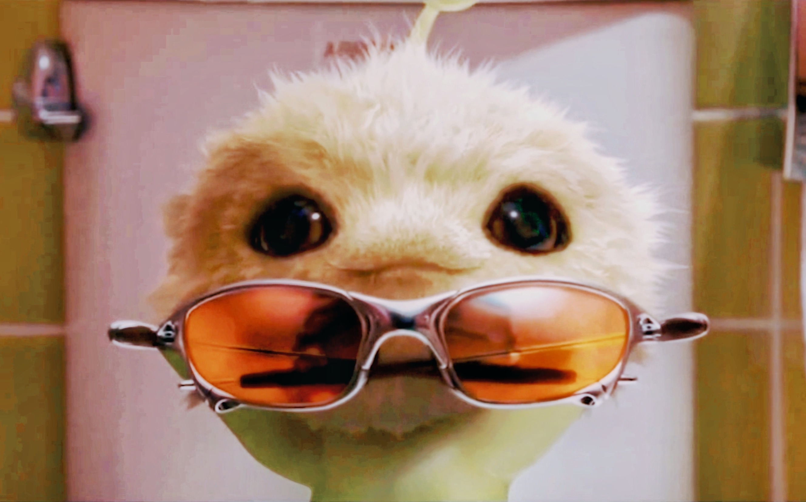 【可爱暴击】救命,谁能拒绝一只绿色毛茸茸的外星狗…_哔哩哔哩_bili