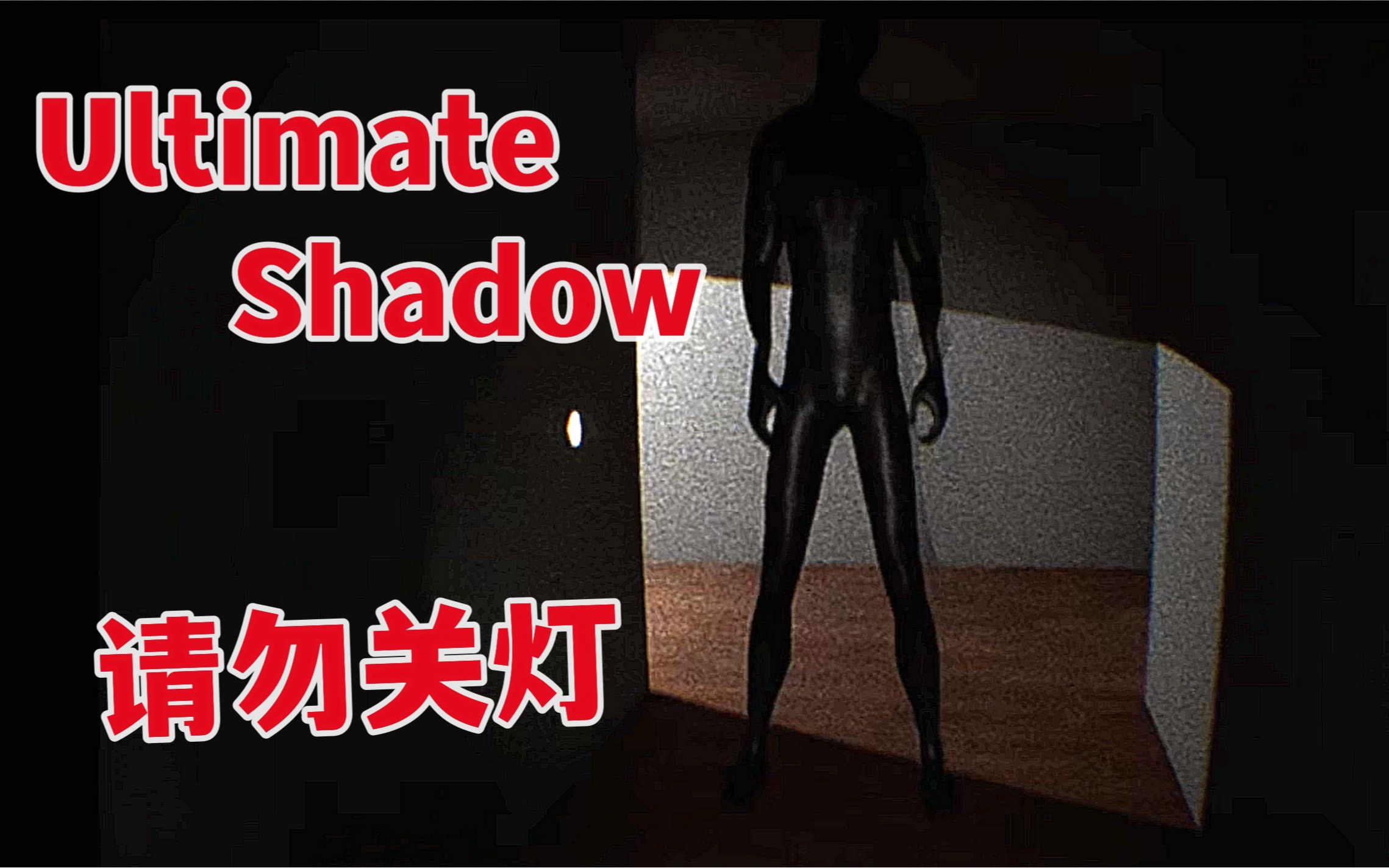 [图]潜入无人小屋调查失踪案件, 却不料惊扰了黑暗中的恶灵-Ultimate Shadow/Ultimate Darkness