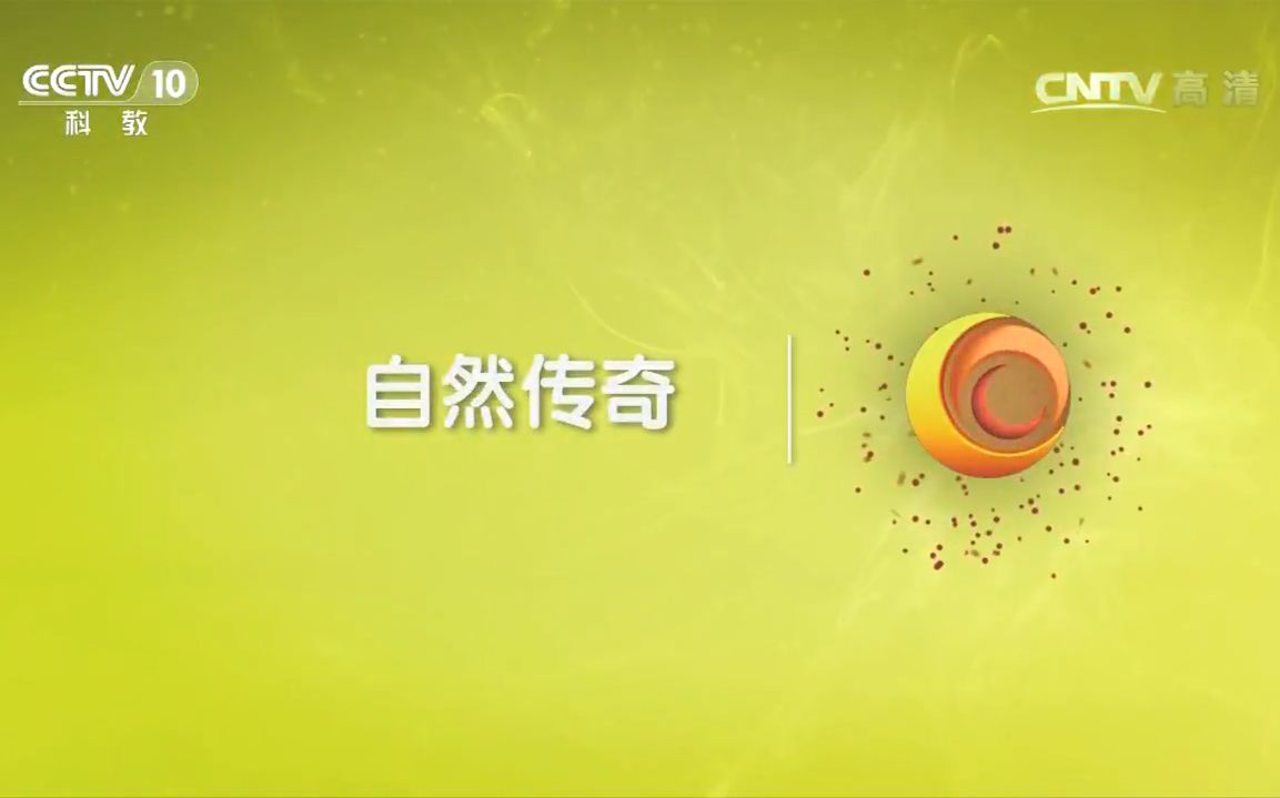 【CCTV】自然传奇 野生动物探险哔哩哔哩bilibili