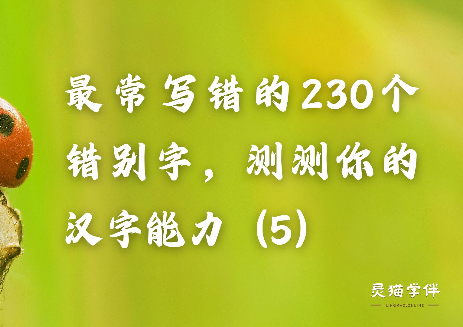 最常写错的230个错别字,测测你的汉字能力(5)哔哩哔哩bilibili