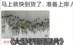 下载视频: 一部分考研现状