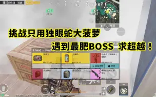 Download Video: 挑战只用独眼蛇大菠萝，遇到本赛季最肥BOSS，求超越！