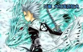 卍解日番谷 冬狮郎 搜索结果 哔哩哔哩弹幕视频网 つロ乾杯 Bilibili