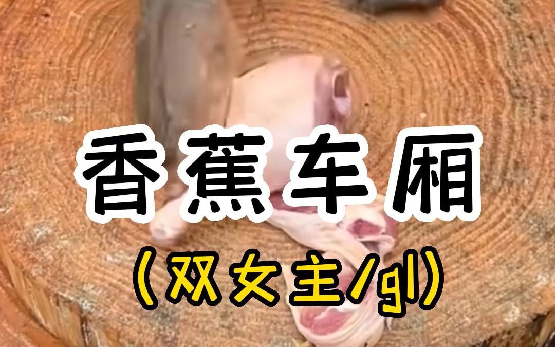 《香蕉车厢》老福特小说推荐(lofter)哔哩哔哩bilibili