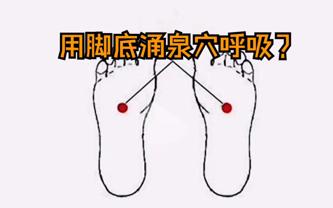 踵息真的是用脚底呼吸吗?哔哩哔哩bilibili