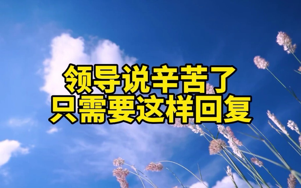 领导说辛苦了只需要这样回复即可