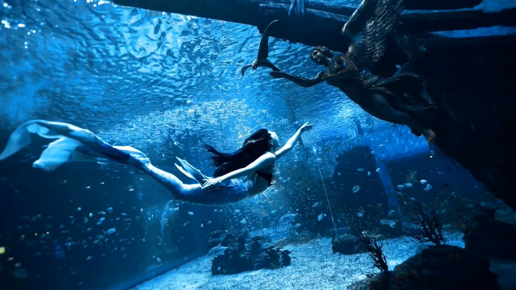 海洋馆美人鱼潜水潜水,最疗愈的水下运动