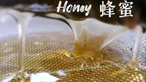蜂蜜过滤蜂蜜土方法 哔哩哔哩 Bilibili