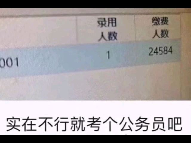 实在不行就考个公务员吧
