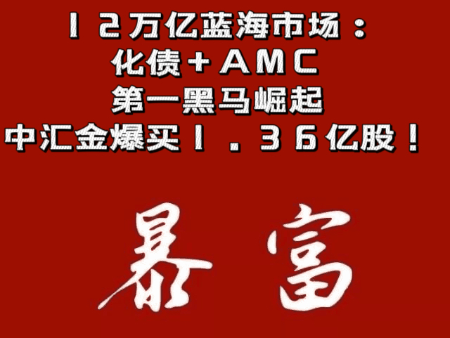 12万亿蓝海市场:化债+AMC第一黑马崛起,中汇金爆买1.36亿股!哔哩哔哩bilibili