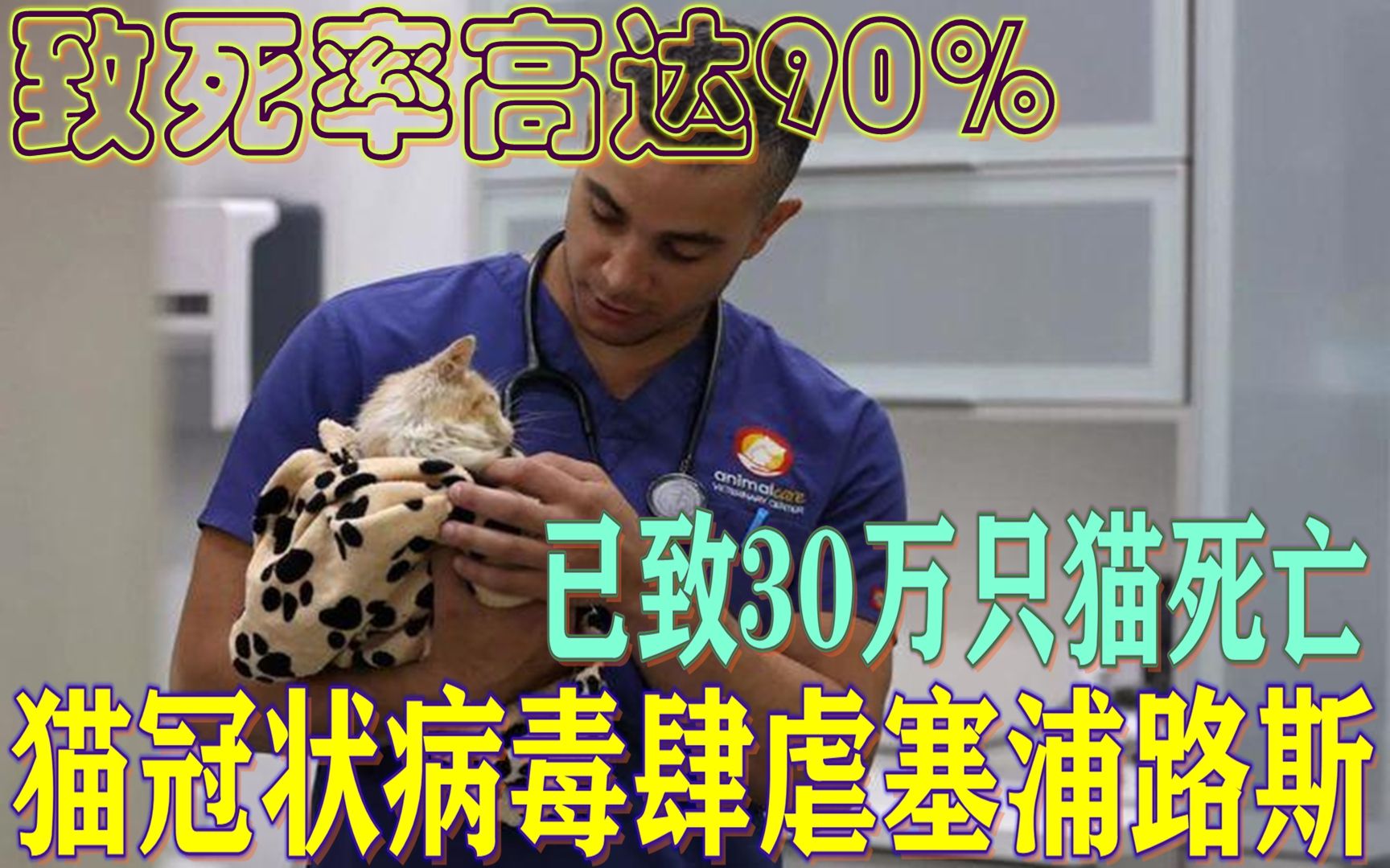 致死率高达90%,“猫冠状病毒”肆虐塞浦路斯,已致30万只猫死亡哔哩哔哩bilibili