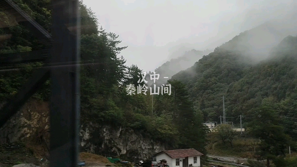 [图]风景｜雨后小故事