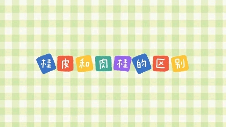 桂皮和肉桂的区别?哔哩哔哩bilibili