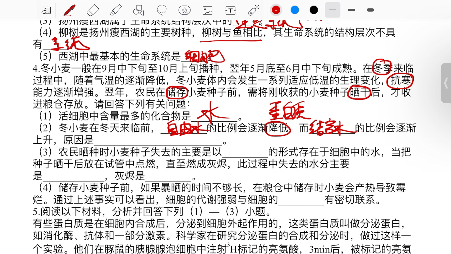 [图]复习巩固试卷解析