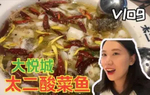 Tải video: 大悦城太二酸菜鱼，吃完流鼻涕