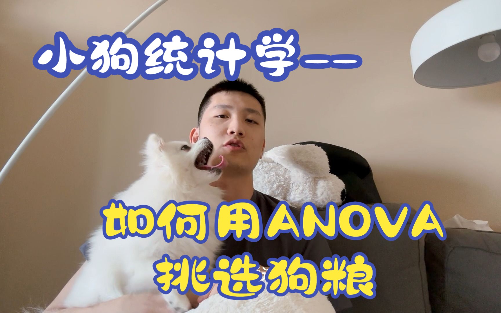 【小狗统计学】用狗粮十分钟帮你理解方差分析ANOVA和自由度哔哩哔哩bilibili