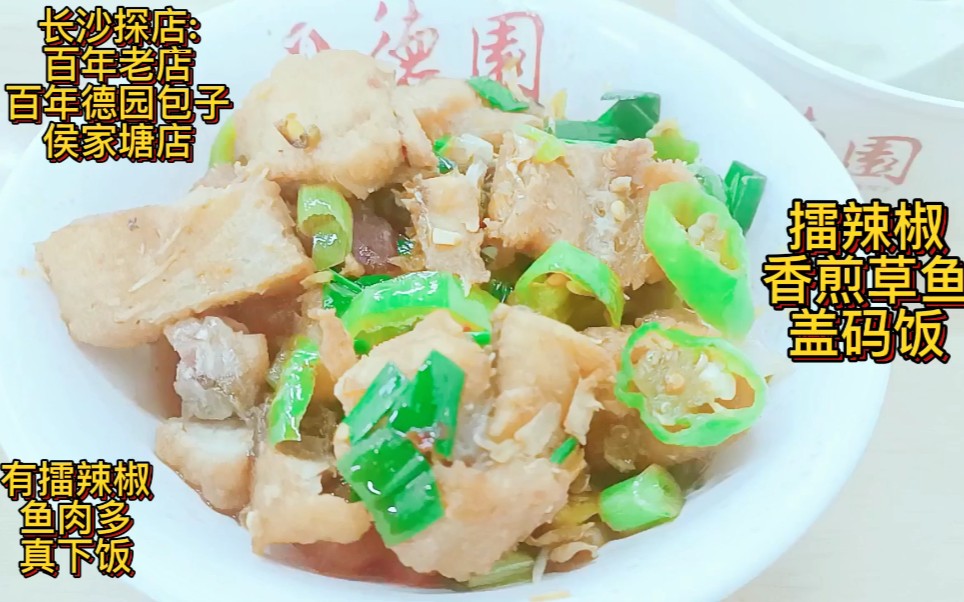 神仙长沙美食探店:擂辣椒香煎草鱼盖码饭:德园店超下饭真会好吃?哔哩哔哩bilibili