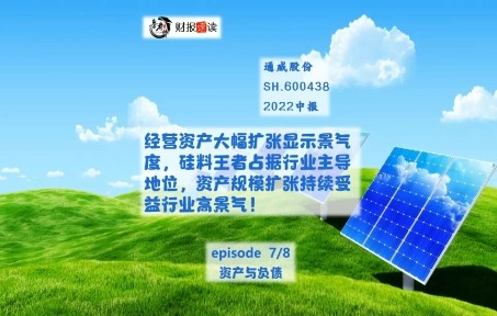 通威股份07资产与负债哔哩哔哩bilibili