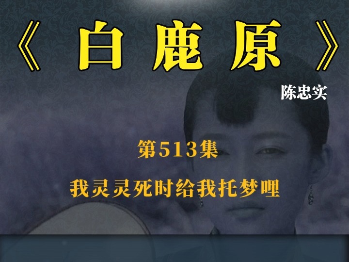 《白鹿原》 第513集 我灵灵死时给我托梦哩哔哩哔哩bilibili